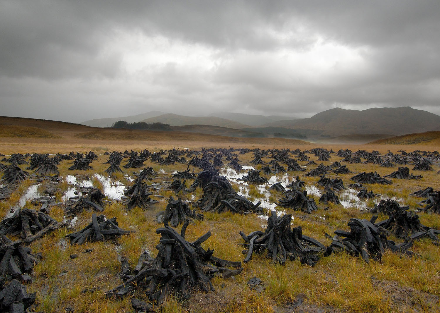 Barry Andersen, Peat, Storm, Connemara, Ireland, 2004. Digital Photograph, 10 x 12½ to 12 x 18 inches. Courtesy of the artist