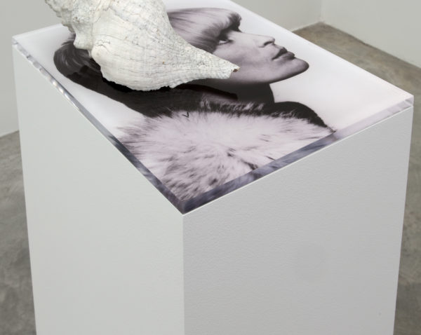 Marlo Pascual, Untitled, 2013. Digital c-print, conch shell, pedestal, Installed dimensions: 40½ x 16 x 12 inches. Photo by Jean Vong. Courtesy of the artist and Casey Kaplan, New York